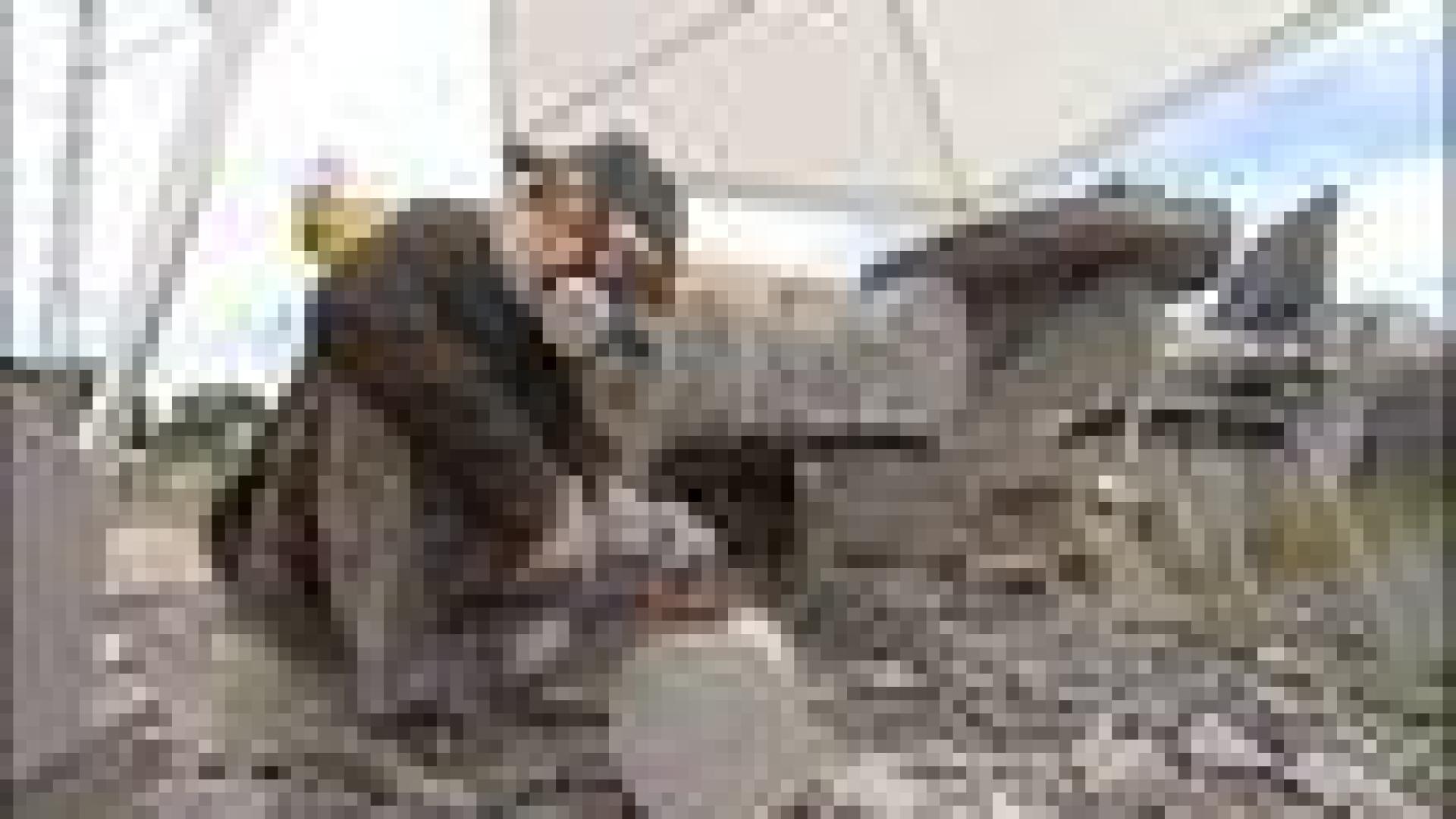 Sprimont : rencontres de sculpture